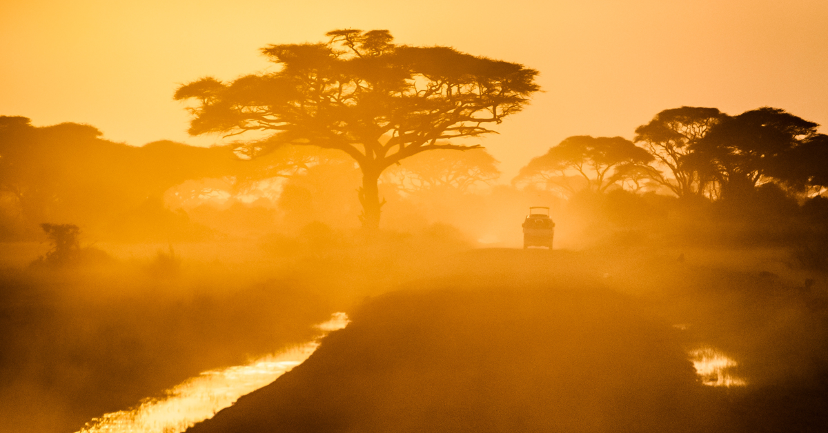 SUV on African Safari