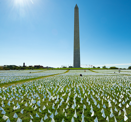 Many white flags in grass in front of Washing Monument in Washington, DC